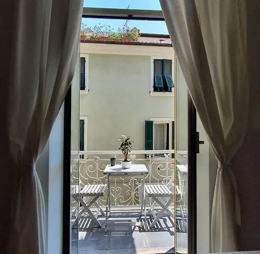 Daisy - City Center *