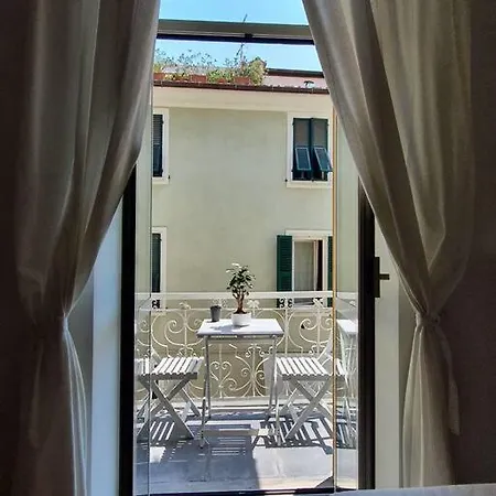 Daisy - City Center *